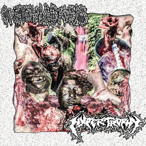 Cystoblastosis : Cystoblastosis - Hypertrophy